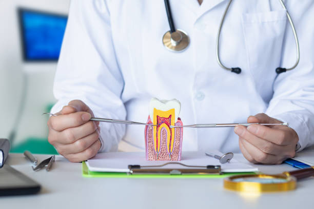 Best Knocked-Out Tooth Emergency  in Mount Carmel, IL